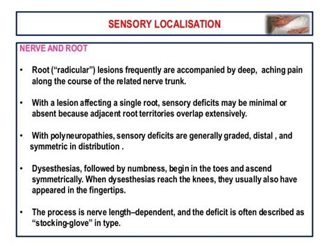 Sensory System Examination