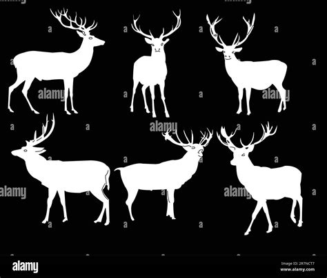 Deer Collection Vector Stock Vector Image And Art Alamy