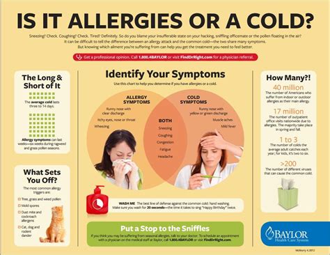 Can Allergies Cause Muscle Aches Ulma