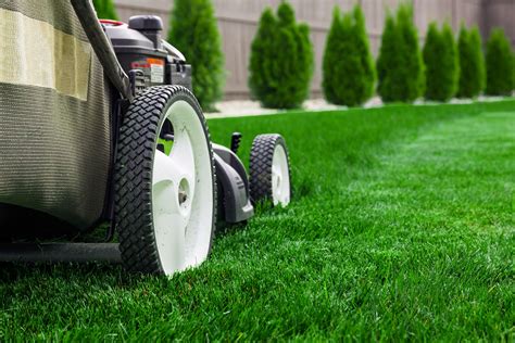 Lawn Care Tips Mowing Sod Resources Scienturfic Sod