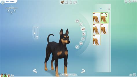 62 Zdjęć Z The Sims 4 Psy I Koty • Simscamp • Dotsim
