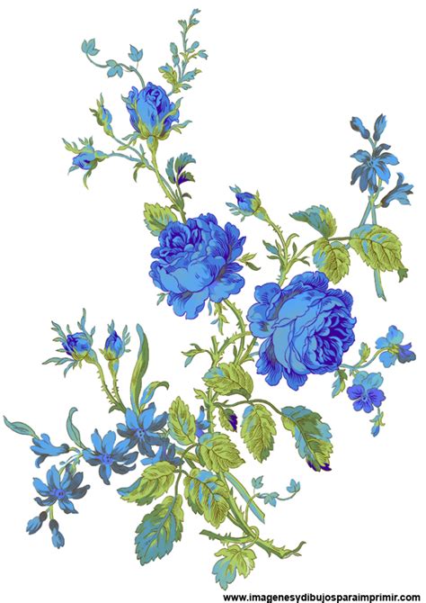 Dibujos De Flores Azules Imagenes Y Dibujos Para Imprimir