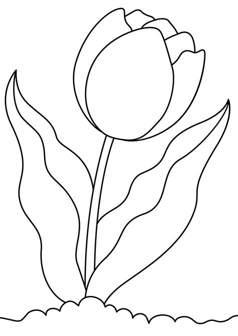 Tulipán Nyomtatható Sablon Papír Kézművesek