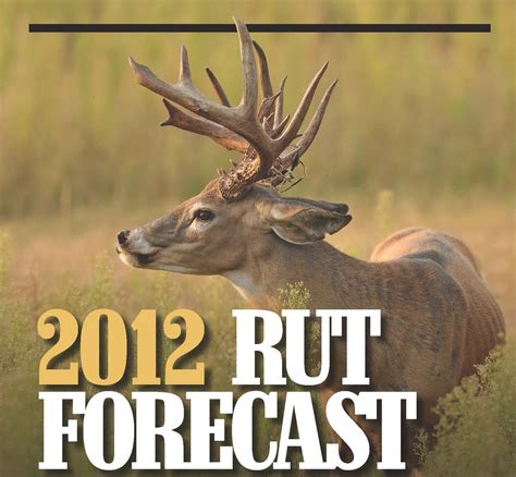 Buck Rut 2021 Template Calendar Design