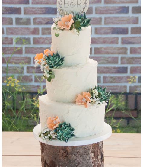 Succulent Cakes Too Pretty To Eat