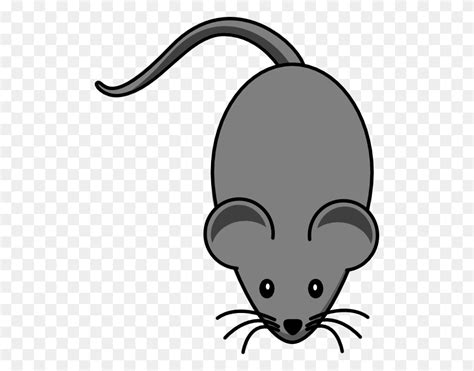 Dark Grey Lab Mouse Clip Art Grey Clipart Flyclipart