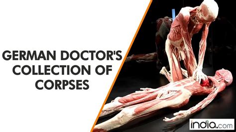 Body Worlds Museum In London To Showcase Collection Of Embalmed