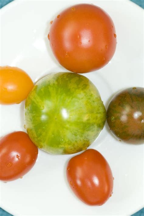 Multi Coloured Tomatoes Stock Image Image Of Frame Healthy 12419541