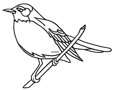 Robin Outline Drawing Free Download On Clipartmag