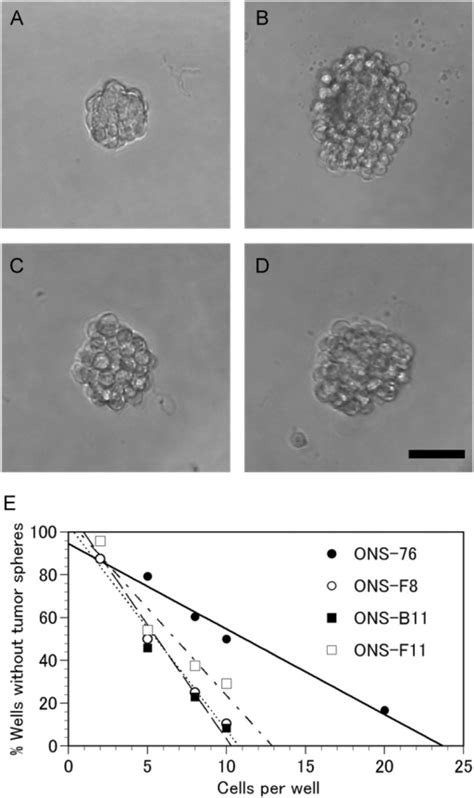 Results Of The Tumor Sphere Formation Assay Open I