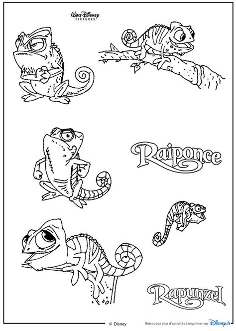 We did not find results for: Pascal The Chameleon Coloring Pages Coloring Pages