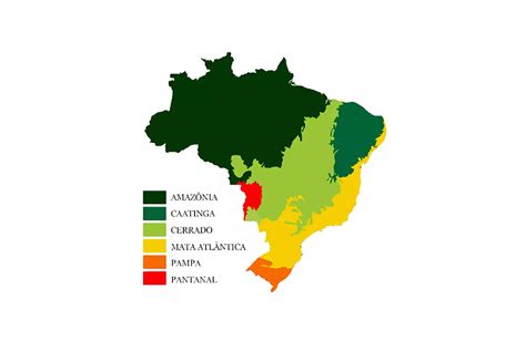 Biomas Do Brasil O Espet Culo Da Natureza Compass Brasil