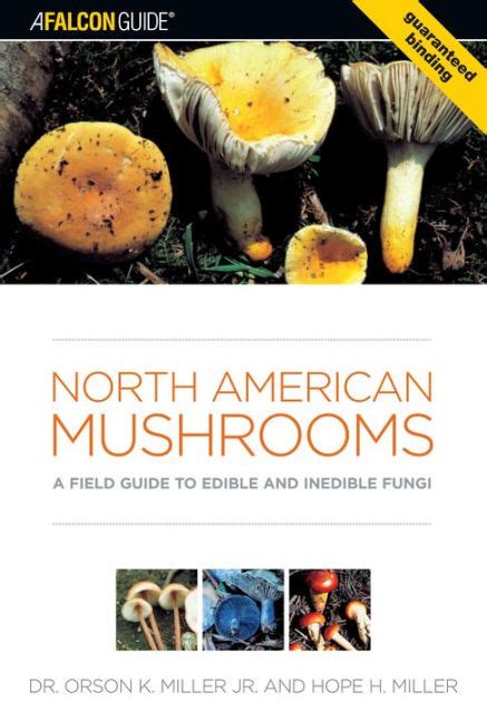 North American Mushrooms A Field Guide To Edible And