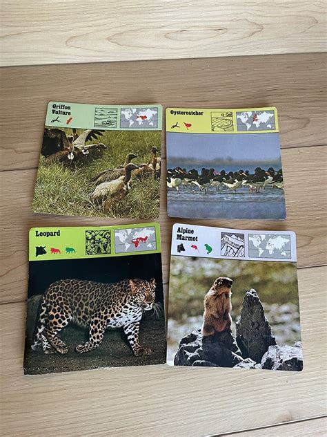 1975 Editions Rencontre Animals Card 24 Card Mix Lot Ebay