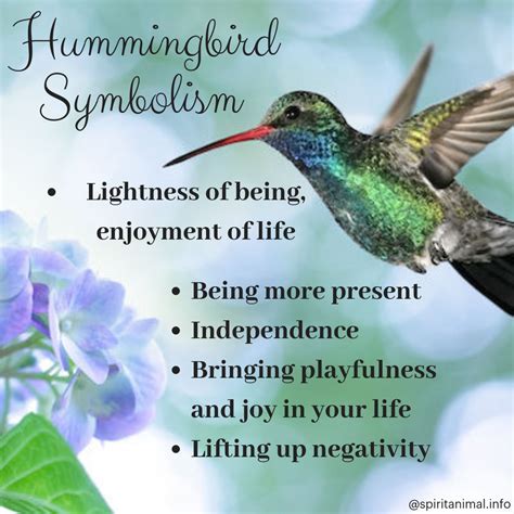 Hummingbird Spirit Animal | Meaning & Symbolism | Spirit animal meaning, Animal meanings, Animal ...