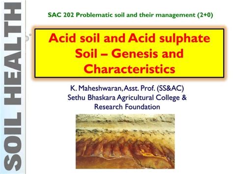 Acid Soil And Acid Sulphate Soil Genesis And Characteristics Ppt