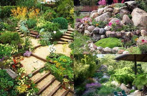 Use rocks to fill it. Transforming Your Pond With Landscaping With Rocks ...
