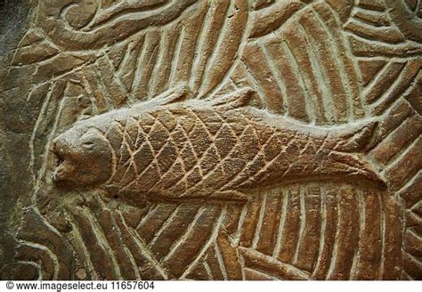 Stone Relief Sculptured Panel Of A Fish From The Northern Courtyard