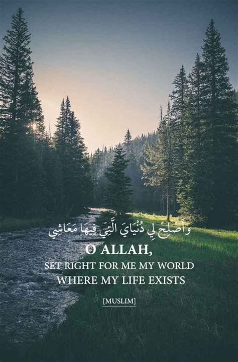 You'll love the quotes about life as well as the pictures that are used as the backgrounds. 25 Beautiful Islamic Quotes About Life with Images ...