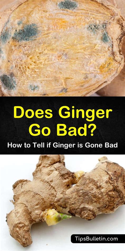 How To Tell If Ginger Is Gone Bad