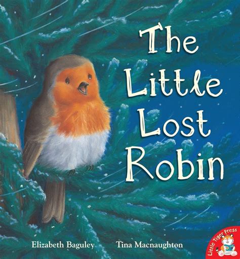 The Little Lost Robin By Elizabeth Baguley And Tina Macnaughton Rrp £6