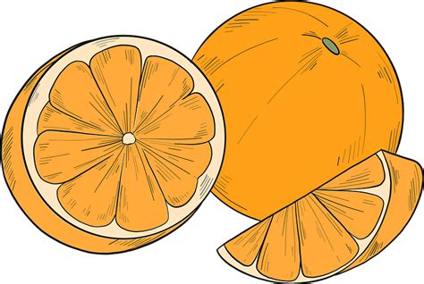 Oranges Clipart Free Download Transparent Png Creazilla