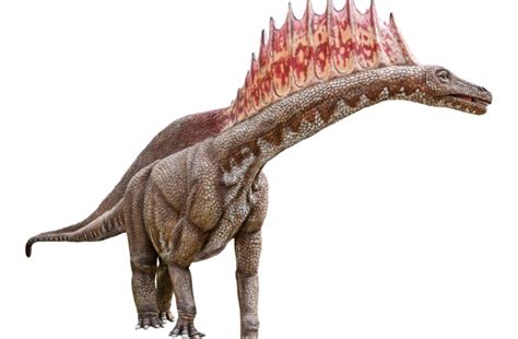 Scientists Discovered A New Dinosaur That Is A Mini Brontosaurus With