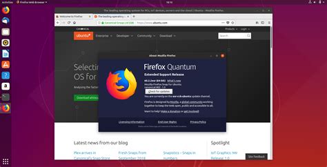 Throughout the article you will see the download links and the commands needed to perform the installation of the the browser. Firefox ESR 60 availability on Ubuntu | Ubuntu