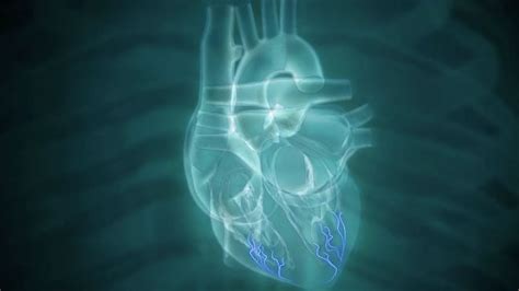 Boston Scientific Beating Heart Animation And Other 3d Medical Animation