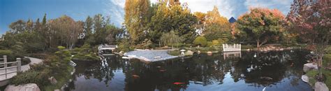 Since the institution opened to the public in 1928, the japanese garden, has attracted more than 20 million visitors and remains a Earl Burns Miller Japanese Garden | California State ...