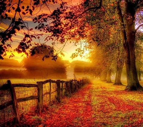 Melinda Matthews On Twitter Autumn Scenery Autumn Landscape Fall