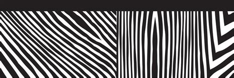Wild Zebra Wave Pattern Set With Black And White Vector Image