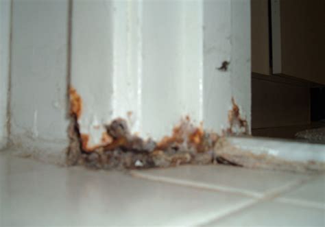 A bathtub with yellowish streaks looks very unsightly. orange mold in bathtub