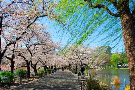 16 Top Rated Tourist Attractions In Tokyo Planetware