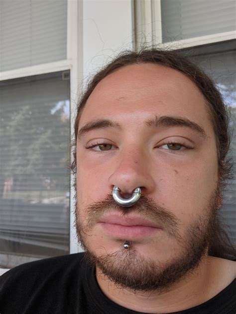 2g Septum 8g Labret Septum Is Probably Nearing The End Of Its