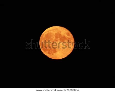 Full Moon Dark Sky Big Moon Stock Photo 1770833834 Shutterstock