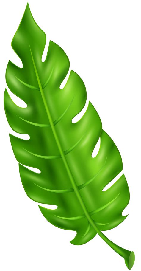 Leaf Clipart Png 10 Free Cliparts Download Images On Clipground 2023
