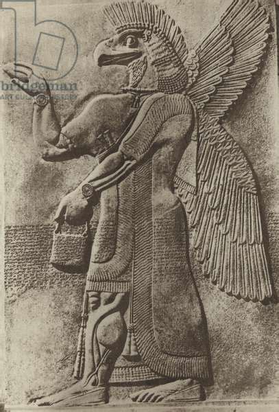 The Assyrian Winged Deity Ashur Pollinating A Date Palm B W Photo By