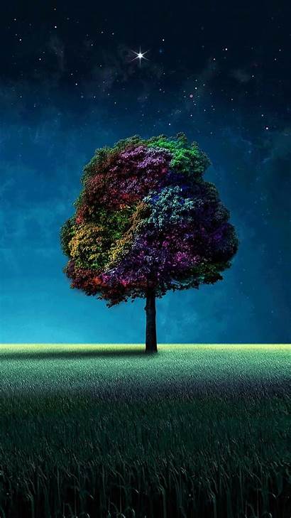 Tree Colorful 1080 1920 Wallpapers