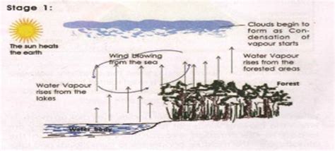 Types Of Climate Regions Of Uganda