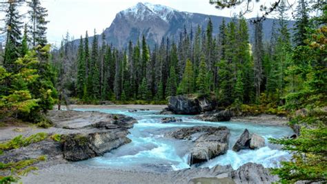 Canadian Wilderness Stock Photos Pictures And Royalty Free Images Istock