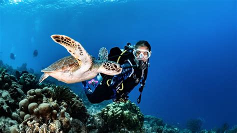 All4diving Scuba Diving Phuket Thailand Best Phuket Diving Padi Center