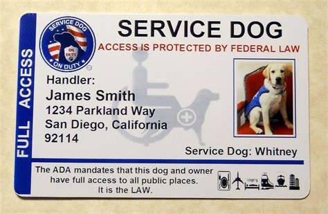 Although some service dogs may wear vests, special harnesses, collars or tags how to train your own service dog. HOLOGRAPHIC SERVICE DOG VEST ID BADGE CARD SERVICE ANIMAL ...