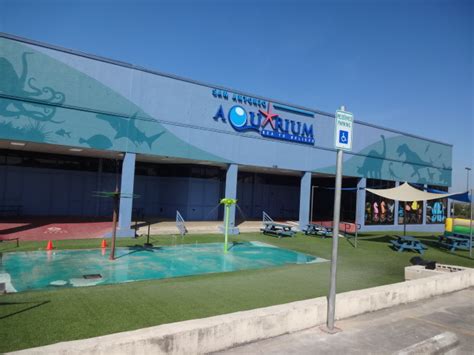Noahs Miracle San Antonio The Aquarium And Sea World