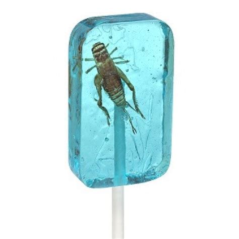Edible Bug Suckers Real Insect Candy Pack Of 3 Lollypops