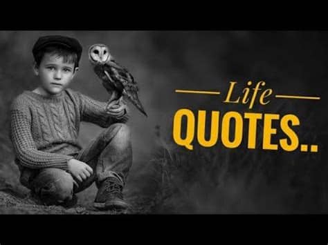 Fascinationg collection of motivational whatsapp status in hindi. Most Beautiful Motivational Quotes Status | new Status ...