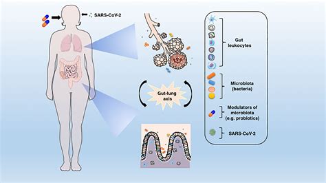 Frontiers Microbiota Modulation Of The Gut Lung Axis In Covid 19