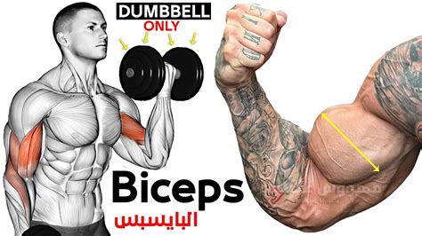 Best Biceps Exercises With Dumbells Only Bicep Workout Youtube