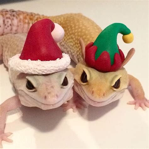 Christmas Cute Gecko Cute Lizard Cute Reptiles