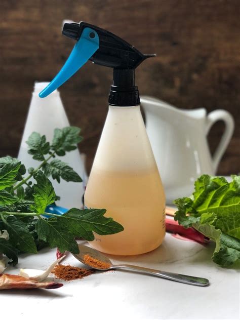 Keep in mind that practice makes perfect. 6 Natural and Homemade Pest Sprays | Pest spray, Pest ...